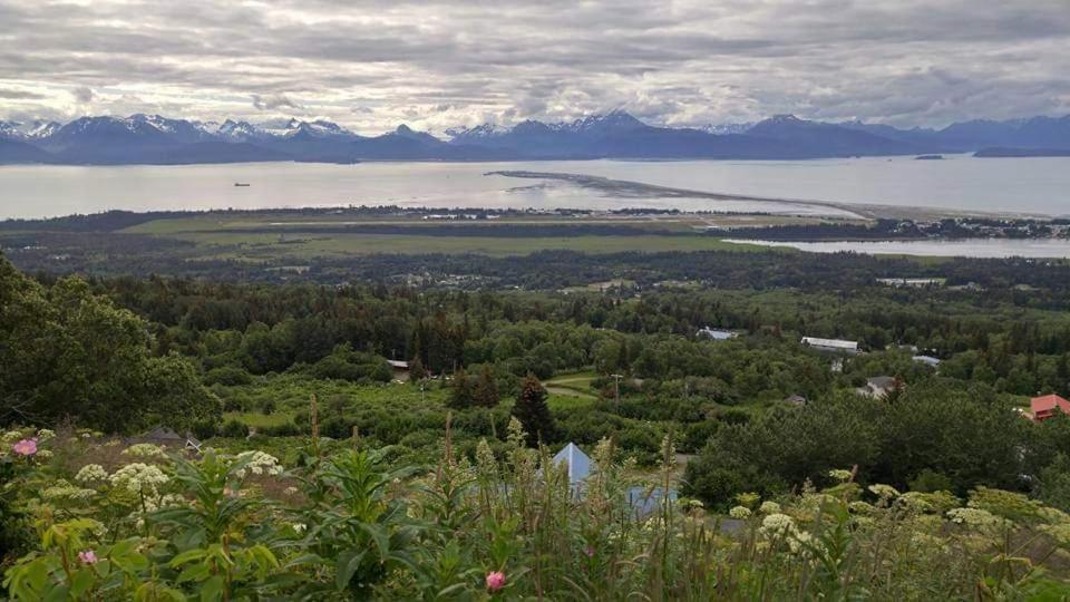 Lakeshore Lodging Suites Homer Extérieur photo